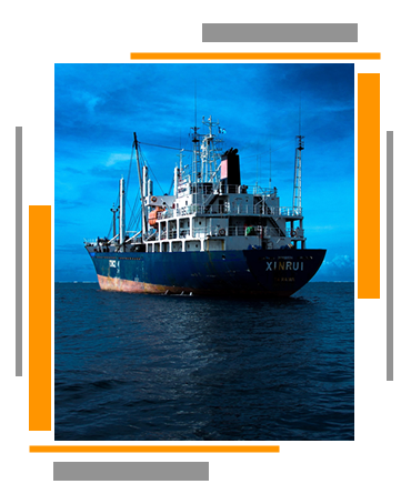 Sea Freight Forwarding